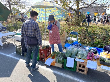 産直野菜