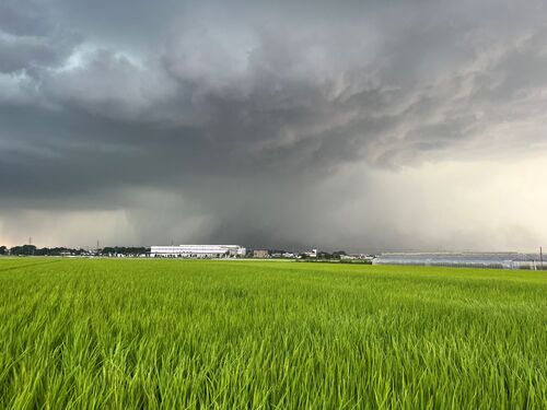 雷雲の写真