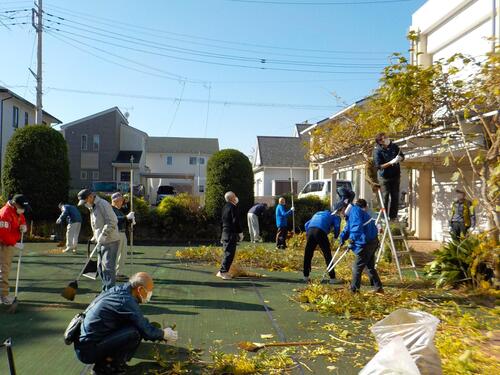 大掃除での剪定のようす