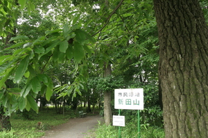 勝瀬新田山1