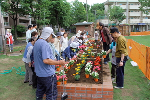 花だん