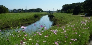 新河岸川