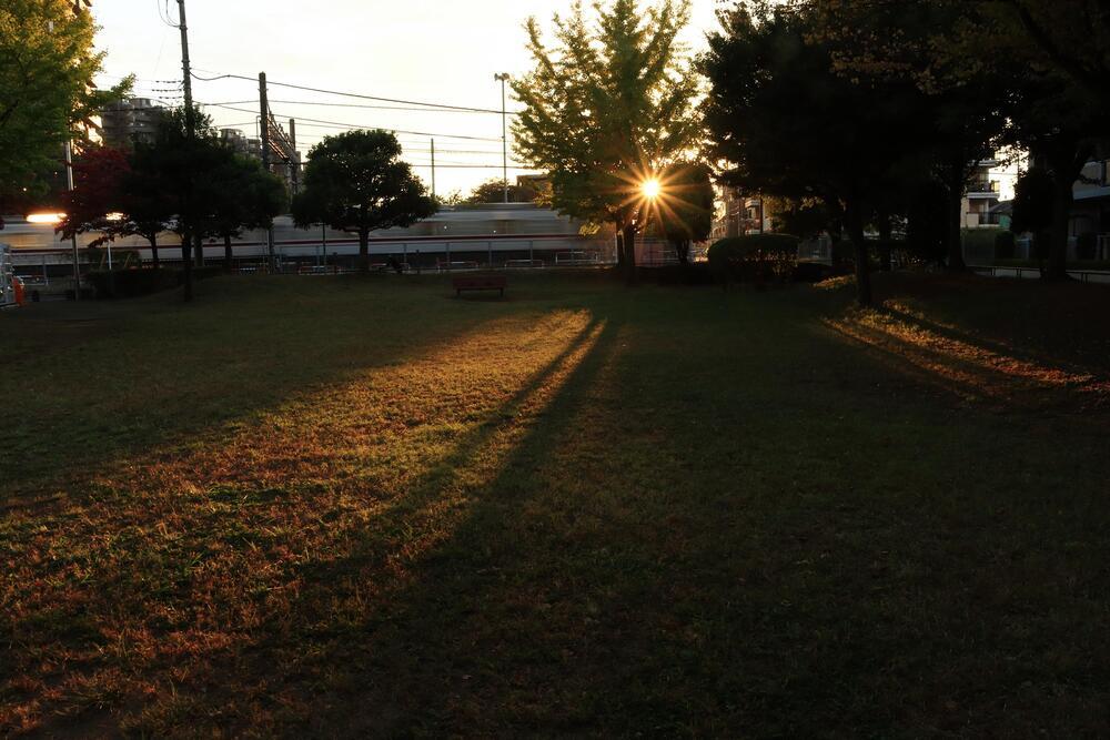 稲荷久保園　10月　つるべ落としを感じる昨日今日です(匿名さん(市内在住)撮影)　