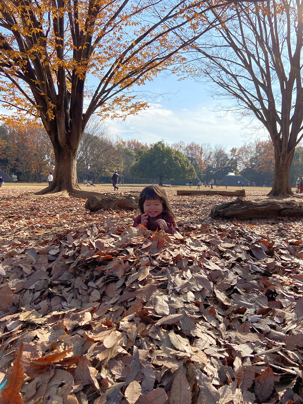 水子貝塚公園　12月　自然がいっぱいで、四季折々の表情をみせる水子貝塚公園が家族みんな大好きです。我が子はどんぐりや葉っぱを拾ったり、木に触ったり、芝生を走り回ったりと目を輝かせ遊んでいます。子どもの想像力を育ててくれる、そんな公園です。(小林 尚美さん（市内在住）撮影）