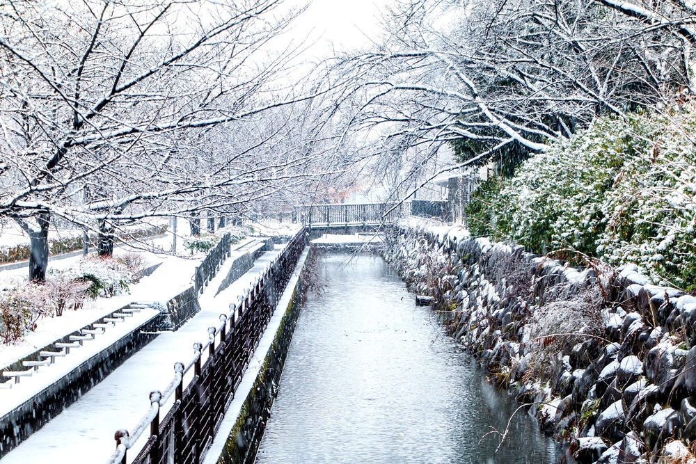 市役所周辺　2月（市広報撮影）