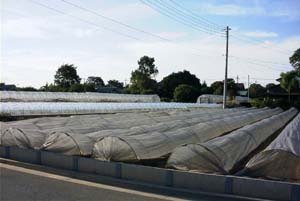 10 稲荷前（いなりまえ）遺跡の画像