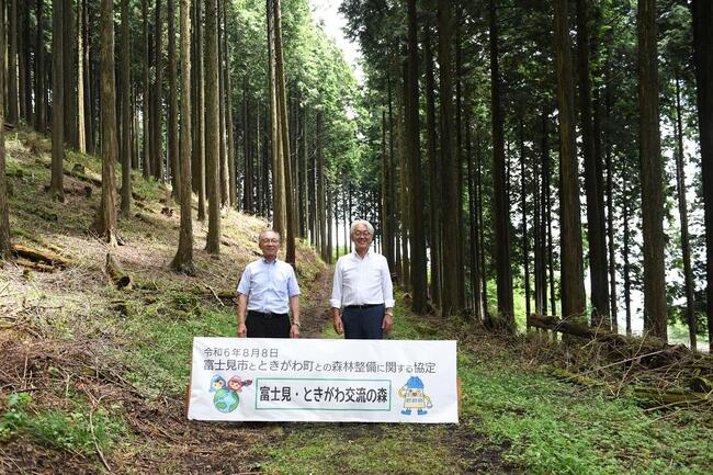 森林整備地写真