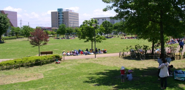 文化の杜公園の画像