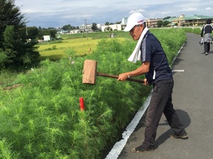 床づくり